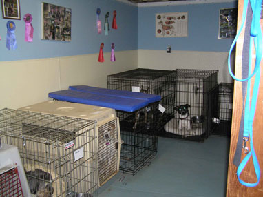 dog boarding kennels