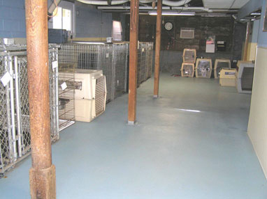 Northeast School for Dogs